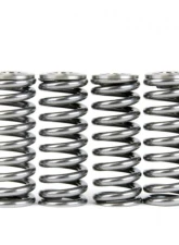 Skunk2 D VTEC Alpha Valve Spring & Ti Retainer Kit                                     - 344-05-1350 - Image 5