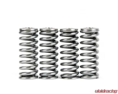 Skunk2 D VTEC Alpha Valve Spring & Ti Retainer Kit - 344-05-1350