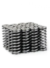 Skunk2 D VTEC Alpha Valve Spring & Ti Retainer Kit                                     - 344-05-1350 - Image 8
