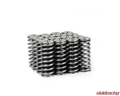 Skunk2 D VTEC Alpha Valve Spring & Ti Retainer Kit - 344-05-1350