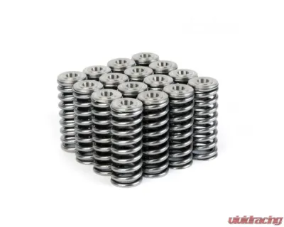 Skunk2 D VTEC Alpha Valve Spring & Ti Retainer Kit - 344-05-1350