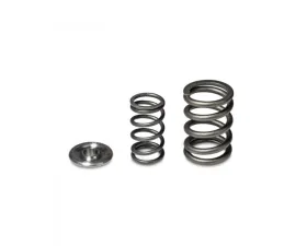 Skunk2 H VTEC Alpha Valve Spring & Ti Retainer Kit