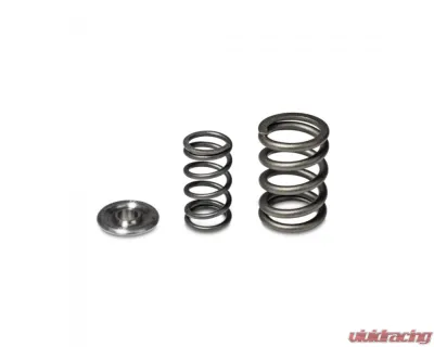 Skunk2 H VTEC Alpha Valve Spring & Ti Retainer Kit - 344-05-1360
