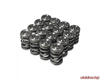 Skunk2 H VTEC Alpha Valve Spring & Ti Retainer Kit - 344-05-1360