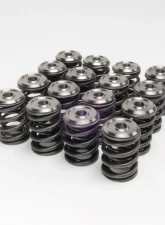 Skunk2 K Series Alpha Valve Spring & Ti Retainer Kit                                     - 344-05-1410 - Image 3