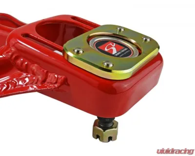 Skunk2 Front Pro Stance Camber Kit - 516-05-5770