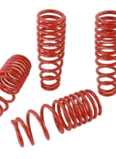 Skunk2 Lowering Springs                                     - 519-05-1550 - Image 6