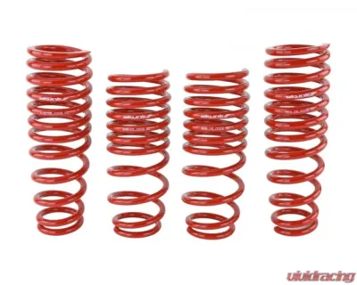 Skunk2 Lowering Springs - 519-05-1550