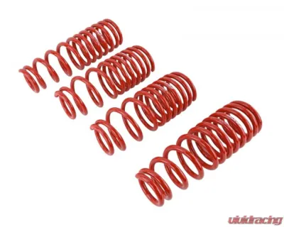 Skunk2 Lowering Springs - 519-05-1550