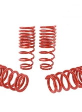 Skunk2 Lowering Springs                                     - 519-05-1550 - Image 4