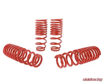 Skunk2 Lowering Springs - 519-05-1550