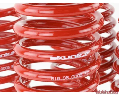 Skunk2 Lowering Springs - 519-05-1550
