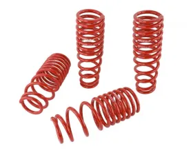 Skunk2 Lowering Springs