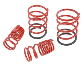Skunk2 Lowering Springs
