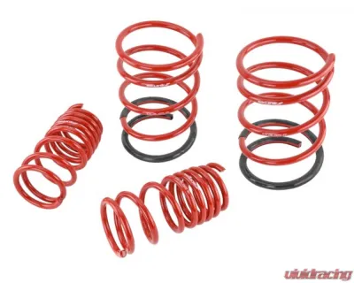 Skunk2 Lowering Springs - 519-05-1570