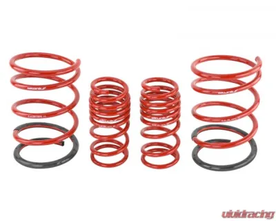 Skunk2 Lowering Springs - 519-05-1570