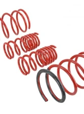 Skunk2 Lowering Springs                                     - 519-05-1570 - Image 3