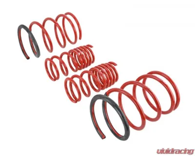 Skunk2 Lowering Springs - 519-05-1570
