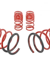 Skunk2 Lowering Springs                                     - 519-05-1570 - Image 4