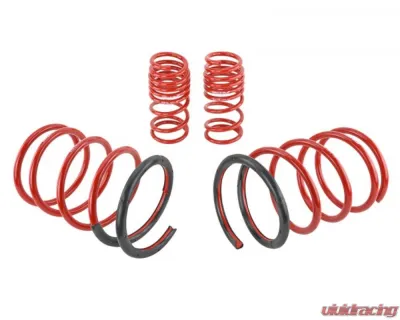 Skunk2 Lowering Springs - 519-05-1570