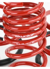 Skunk2 Lowering Springs                                     - 519-05-1570 - Image 5