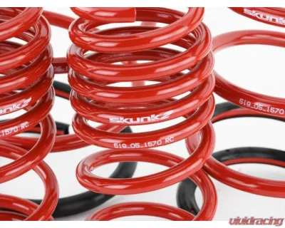 Skunk2 Lowering Springs - 519-05-1570