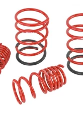 Skunk2 Lowering Springs                                     - 519-05-1575 - Image 6