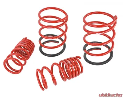 Skunk2 Lowering Springs - 519-05-1575