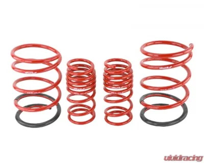 Skunk2 Lowering Springs - 519-05-1575