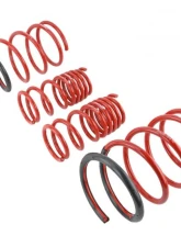 Skunk2 Lowering Springs                                     - 519-05-1575 - Image 3