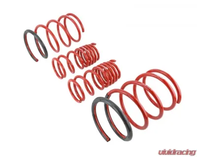 Skunk2 Lowering Springs - 519-05-1575