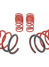Skunk2 Lowering Springs                                     - 519-05-1575 - Image 4