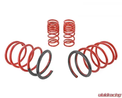 Skunk2 Lowering Springs - 519-05-1575
