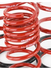 Skunk2 Lowering Springs                                     - 519-05-1575 - Image 5