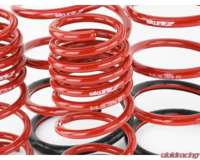 Skunk2 Lowering Springs - 519-05-1575