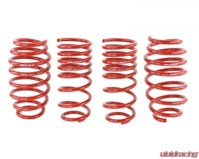 Skunk2 Lowering Springs - 519-05-1580