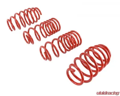 Skunk2 Lowering Springs - 519-05-1580