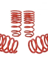 Skunk2 Lowering Springs                                     - 519-05-1580 - Image 4
