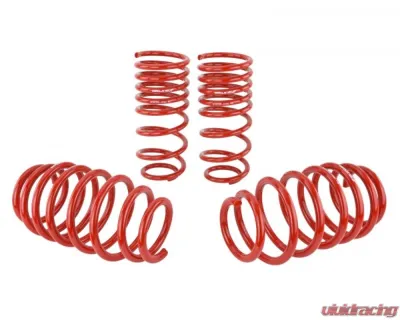 Skunk2 Lowering Springs - 519-05-1580