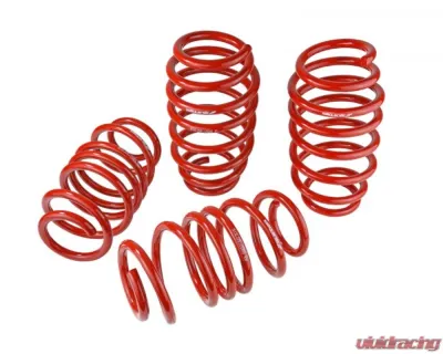 Skunk2 Lowering Springs - 519-05-1585