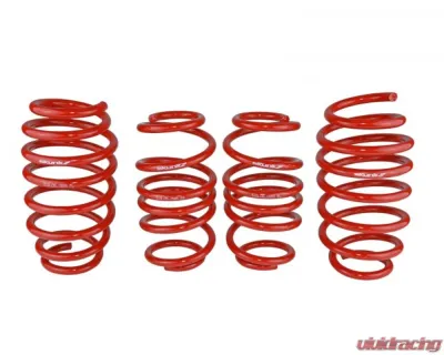 Skunk2 Lowering Springs - 519-05-1585