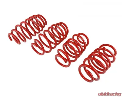 Skunk2 Lowering Springs - 519-05-1585