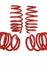 Skunk2 Lowering Springs                                     - 519-05-1585 - Image 4
