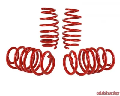 Skunk2 Lowering Springs - 519-05-1585