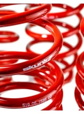 Skunk2 Lowering Springs                                     - 519-05-1585 - Image 5