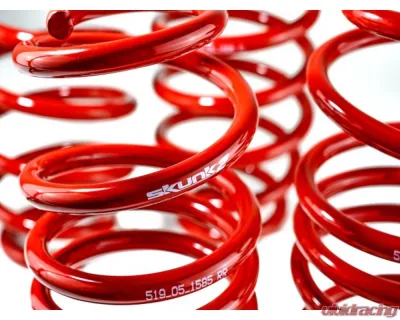 Skunk2 Lowering Springs - 519-05-1585