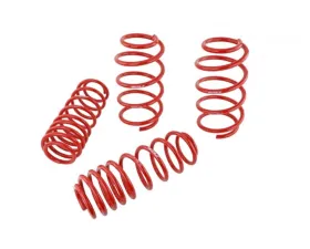 Skunk2 Lowering Springs