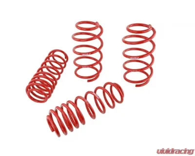 Skunk2 Lowering Springs - 519-05-1590
