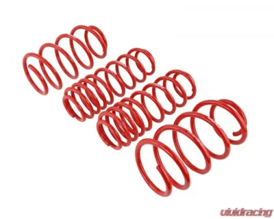 Skunk2 Lowering Springs - 519-05-1590