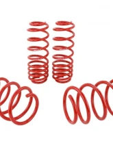 Skunk2 Lowering Springs                                     - 519-05-1590 - Image 4